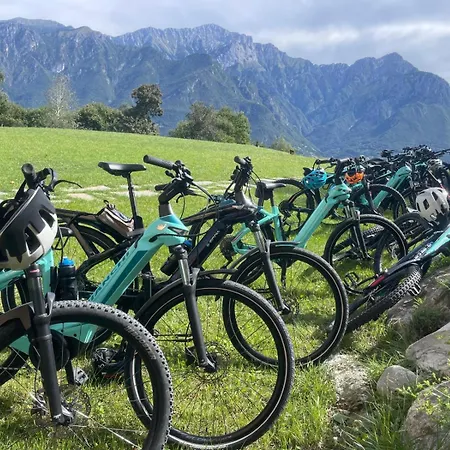 - Treeb Breva شقة