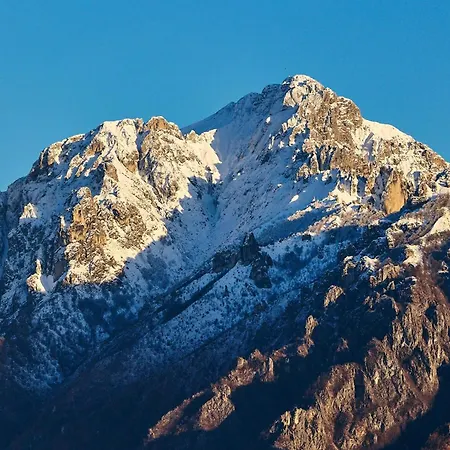 - Treeb Breva بيلاجيو