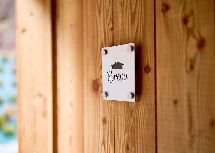 - Treeb Breva Μπελάτζιο