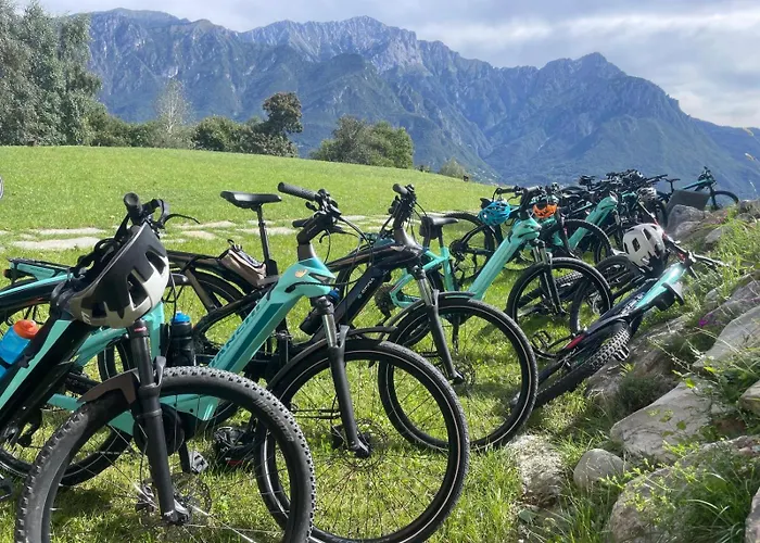 - Treeb Breva Διαμέρισμα