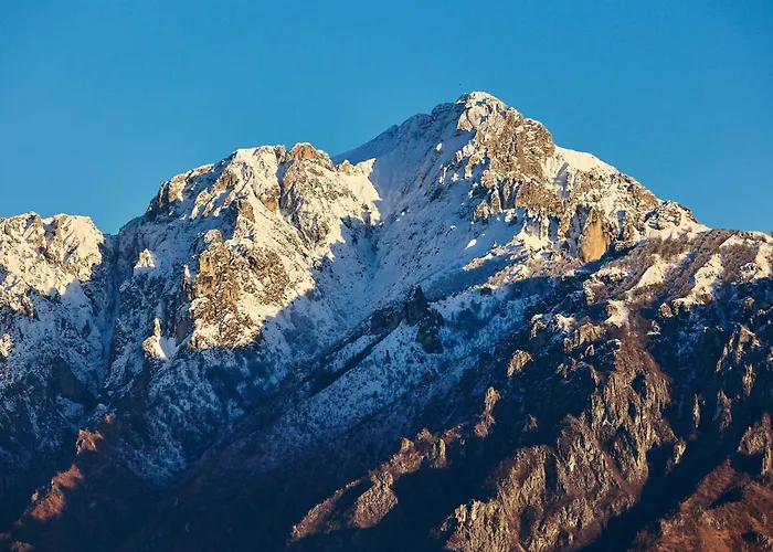 - Treeb Breva Μπελάτζιο